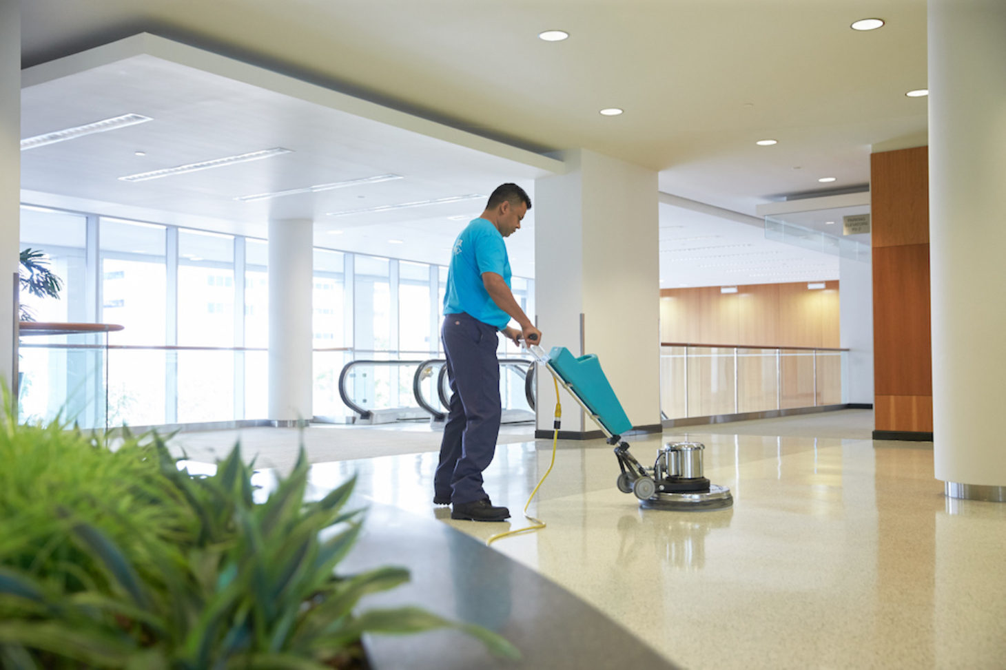 Professional cleaning